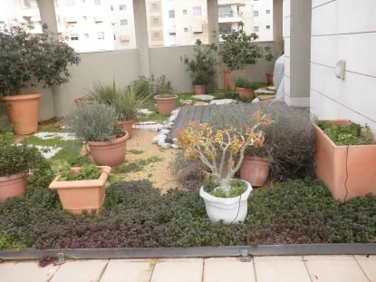 גינות לגלריה 24